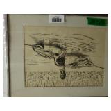 Pintails On The Pond Drawing