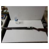 Daisy Pump Action BB Gun