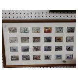 Duck Postage Stamp Collection Framed