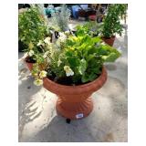 Petunias And Other Plant In Large Decorative Pot
