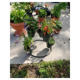 Cast Iron Plant Stand Complete With Plants To