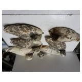Assorted Styrofoam Duck Decoys