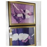 New York Yankees Pictures