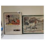 Hunting Dog Pictures