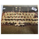 New York Yankees Picture