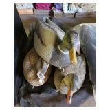Duck Decoys