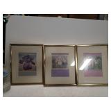 (3) Framed Iris Flower Prints - 8 1/2"×10 1/2"