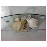 Decorative Plate With Seashells