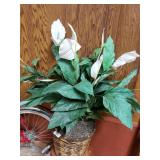 Fake Plant