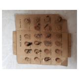 Vintage Wet Flies - Hook Size 12