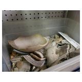 Indian Pottery Shards