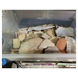 Indian Pottery Shards.