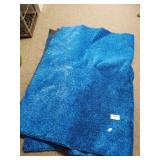Blue Indoor/outdoor Carpet