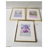 Iris Prints (3)