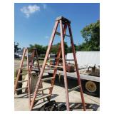12 Ft Ladder