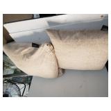 Beige Pillows