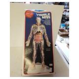 Visible Man Anatomy Kit