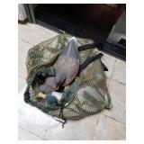 Lot Of Plastic Duck Decoys