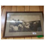 Vintage Sheep Picture