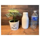 Ashland Milk Bottle & Potted Plant