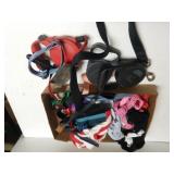 Dog Leash, Outfits & More