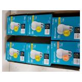100 watt LED Light Bulbs