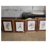 Set Of 4 Beautiful Hummingbird Pictures