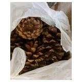 Pinecones