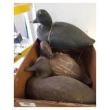 Duck Decoys