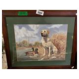 Duck Decoy And Chesapeake Bay Golden Retriever