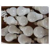 LED Light Bulbs