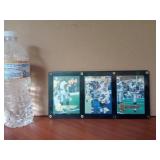 Emmett Smith 3 Card NFL Plaque 1995 Pinnacle