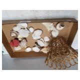 Shells & Small Basket