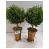 Accent Artificial Plants