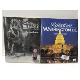 The Prehistory If The Far Side And Reflection Of