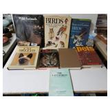 Wild Animals, Birds, Sing And Garden Birds, Cat