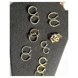 Various Ladies Hoop Earrings