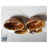 Brown Feathered Bowls