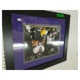 Ray Lewis Sacks Pittsburgh Quarterback Picture