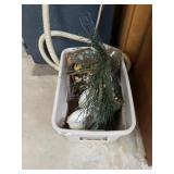 Wreath Shells And More