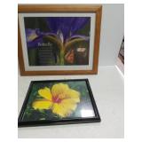 Butterfly & Flower Pictures