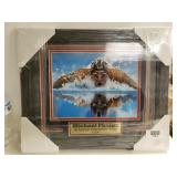 Michael Phelps Picture