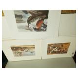 International Quail Foundation & Argentina