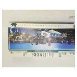Baltimore Maryland Panoramic Puzzle