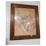 Signed Stag Picture