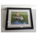 Night Heron Bird Painting