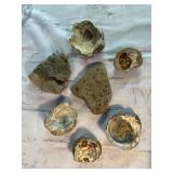 Fossil Rocks & Petrified Oyster Shells