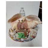 Seashell Decor