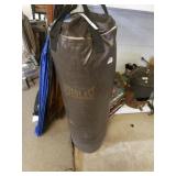 Everlast Punching Bag