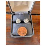 Ladies Clear Studded Earrings